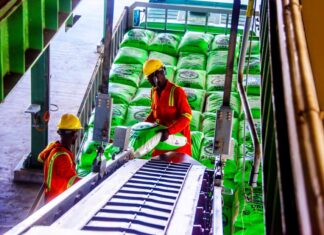 Dangote Fertiliser Partners with German’s thyssenkrupp Uhde to License Four Urea Granulation Units in Nigeria