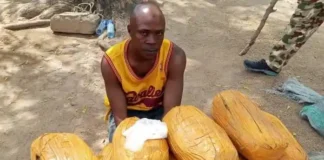 Troops Arrest Boko Haram Drug Supplier With Army Camouflage, Hard Drugs Worth Millions