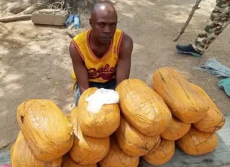 Troops Arrest Boko Haram Drug Supplier With Army Camouflage, Hard Drugs Worth Millions