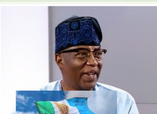 Senator Gbenga Daniel Still a Bona Fide Member of APC – NWC Declares