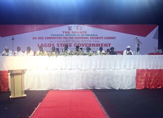 Population Explosion, Uncontrolled Migration Fueling Security Fears in Southwest — Senator Gbenga Daniel