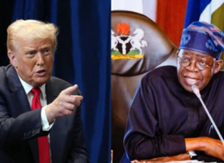 Presidency Reports 81% Drop in Terror Deaths, 124 Terrorists Convicted Since 2024