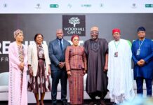 Woodhall Capital Targets $50 Billion in Global Investments to Drive Nigeria’s Development