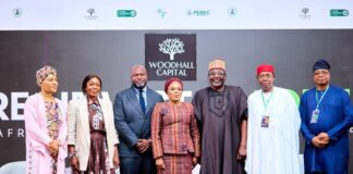 Woodhall Capital Targets $50 Billion in Global Investments to Drive Nigeria’s Development