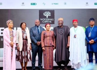 Woodhall Capital Targets $50 Billion in Global Investments to Drive Nigeria’s Development