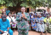 Igbesa PDP Erupts in Jubilation as Temitayo Agemo-Okuboyejo Formally Declares for Ado-Odo/Ota House of Reps Seat