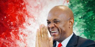 Elumelu’s Heirs Energies Acquires 20.07% Stake in Seplat Energy in $500m Deal
