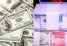 Post-Christmas Relief: Naira Strengthens Against Dollar in Parallel, Official Markets