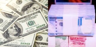Post-Christmas Relief: Naira Strengthens Against Dollar in Parallel, Official Markets
