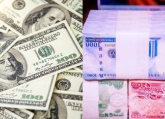 Post-Christmas Relief: Naira Strengthens Against Dollar in Parallel, Official Markets