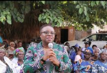 Breaking: Temitayo Agemo-Okuboyejo Declares Bid for Ado-Odo/Ota House of Representatives Seat