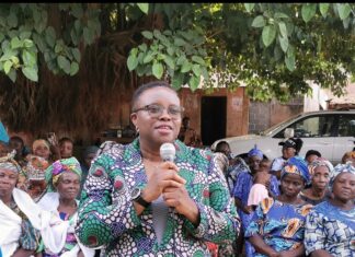 Breaking: Temitayo Agemo-Okuboyejo Declares Bid for Ado-Odo/Ota House of Representatives Seat