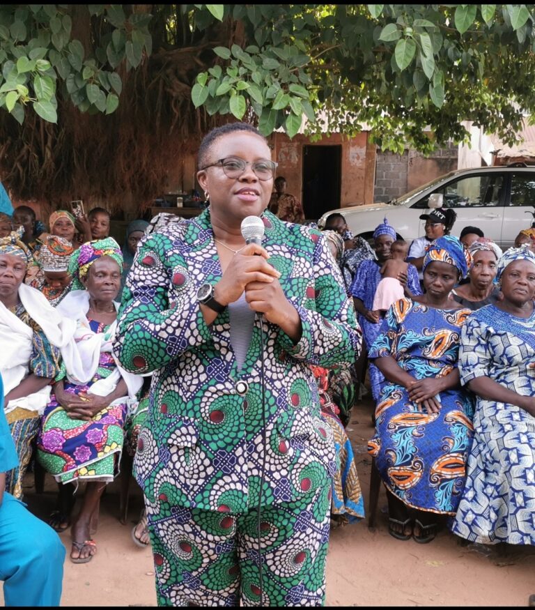 Breaking: Temitayo Agemo-Okuboyejo Declares Bid for Ado-Odo/Ota House of Representatives Seat