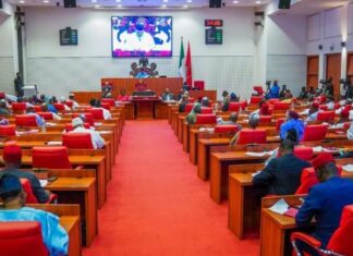 Ambassadorial Appointments: Senate Committee Clears Fani-Kayode, Dambazau, Omokri, Others