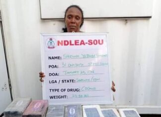 NDLEA Busts Lagos Mum: ₦5B Cocaine Hidden in Children’s Room