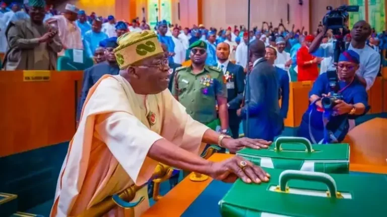 2026 Budget: Tinubu Declares War on Banditry, Waste, Poverty