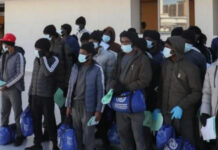 Immigration Crackdown: Canada Deports 366 Nigerians, Flags 974 for Removal