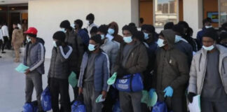 Immigration Crackdown: Canada Deports 366 Nigerians, Flags 974 for Removal