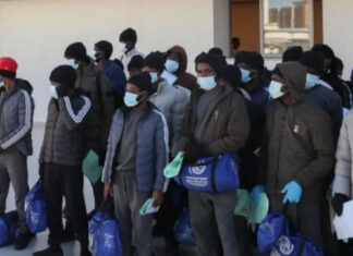 Immigration Crackdown: Canada Deports 366 Nigerians, Flags 974 for Removal