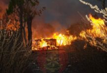 Nigerian Army Crushes Bandits in Kwara: Destroys Camps, Rescues Victims in Operation Forest Flush