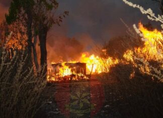 Nigerian Army Crushes Bandits in Kwara: Destroys Camps, Rescues Victims in Operation Forest Flush