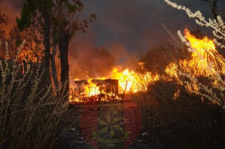 Nigerian Army Crushes Bandits in Kwara: Destroys Camps, Rescues Victims in Operation Forest Flush