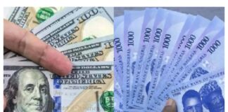 Naira Rallies Strongly: Currency Gains N35 at Official Market as Dollar Weakens