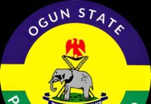 Ogun Police Clamp Down on Illegal Number Plates, Dealer Plate Abuse, Unauthorised Sirens