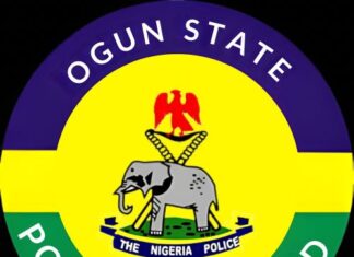 Ogun Police Clamp Down on Illegal Number Plates, Dealer Plate Abuse, Unauthorised Sirens