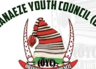 Ohanaeze Youth Council Calls for Igbo Exit from Nigeria, Demands Referendum and Nnamdi Kanu’s Release