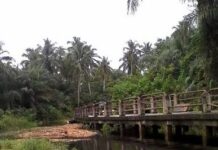 Tinubu Approves Commercial Drilling at Tongeji Island, Revives Olokola Deep Seaport in Ogun