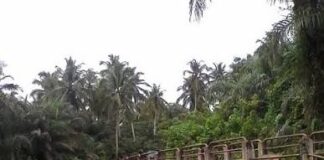 Tinubu Approves Commercial Drilling at Tongeji Island, Revives Olokola Deep Seaport in Ogun