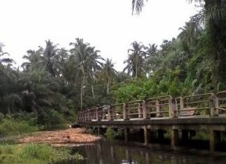 Tinubu Approves Commercial Drilling at Tongeji Island, Revives Olokola Deep Seaport in Ogun