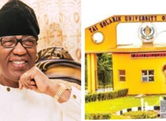 Otunba Gbenga Daniel’s Masterstroke: The Unforgettable Birth And Enduring Legacy Of TASUED | By A.R. Olanrewaju