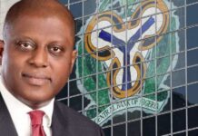 CBN Targets $1B Monthly Diaspora Remittances as Reforms Drive Inflows to $600 Million