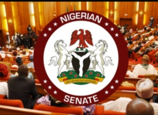Electoral Act Amendment: NBA, NLC Demand Real-Time Result Transmission as Senate Reconvenes