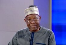 Former INEC Commissioner Says Nigeria Not Ready for Real-Time Electronic Election Results