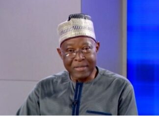 Former INEC Commissioner Says Nigeria Not Ready for Real-Time Electronic Election Results