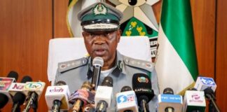 Border Reopening Must Not Compromise Security — Customs Boss Warns on Tsamiya Route