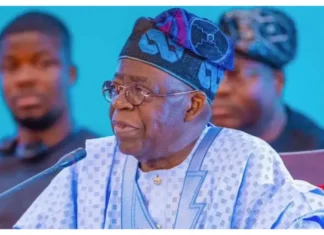 Tinubu’s Aide Seeks Nationwide Partnerships to Tackle Women’s Health Crisis