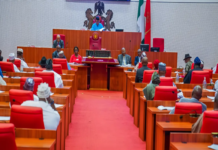 Senate Holds Emergency Session as Protests Erupt Over Electoral Act Amendments
