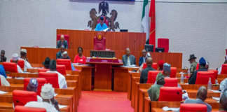 Senate Holds Emergency Session as Protests Erupt Over Electoral Act Amendments