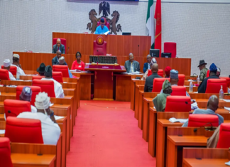 Senate Holds Emergency Session as Protests Erupt Over Electoral Act Amendments
