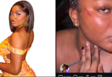 Influencer Papaya Ex Alleges Assault by Police Officer in Lagos