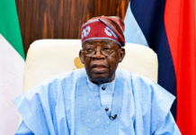 State Police Now Urgent, Says Bola Tinubu, Urges Senate to Amend Constitution