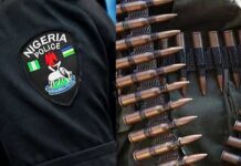 SAN Mike Ozekhome, Ponfa Useni Granted Bail Over London Property Fraud Case