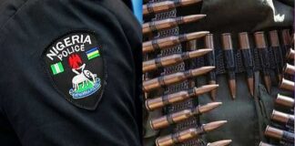 SAN Mike Ozekhome, Ponfa Useni Granted Bail Over London Property Fraud Case