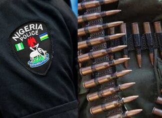 SAN Mike Ozekhome, Ponfa Useni Granted Bail Over London Property Fraud Case