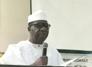 The unsolicited crusade of Bamidele Opeyemi and the Sovereignty of Ogun State | By Yinka ANIMASHAUN