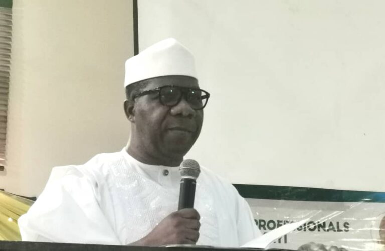 The unsolicited crusade of Bamidele Opeyemi and the Sovereignty of Ogun State | By Yinka ANIMASHAUN